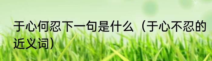 于心何忍下一句是什么（于心不忍的近义词）