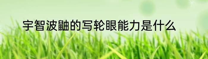 宇智波鼬的写轮眼能力是什么