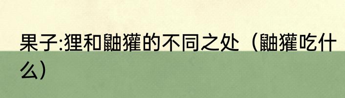 果子:狸和鼬獾的不同之处（鼬獾吃什么）