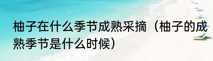 柚子在什么季节成熟采摘（柚子的成熟季节是什么时候）