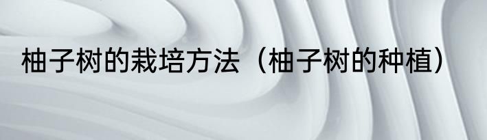 柚子树的栽培方法（柚子树的种植）