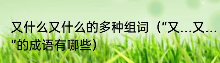 又什么又什么的多种组词（“又…又…”的成语有哪些）