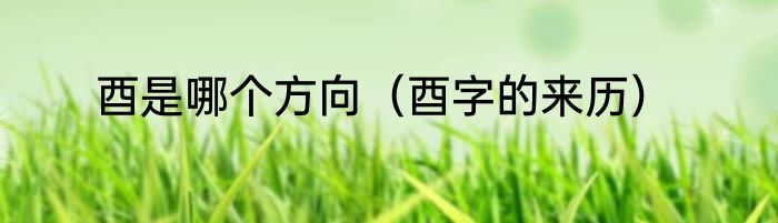 酉是哪个方向（酉字的来历）