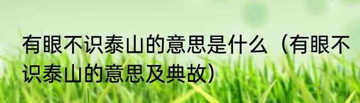 有眼不识泰山的意思是什么（有眼不识泰山的意思及典故）