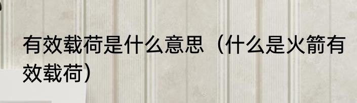 有效载荷是什么意思（什么是火箭有效载荷）