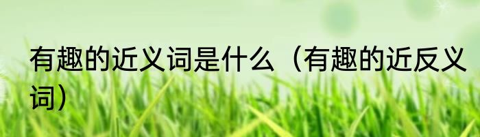 有趣的近义词是什么（有趣的近反义词）