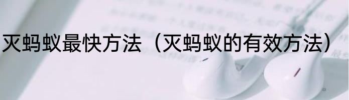 灭蚂蚁最快方法（灭蚂蚁的有效方法）