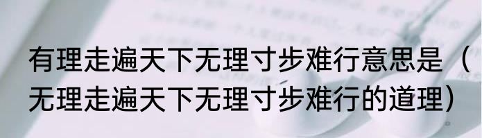有理走遍天下无理寸步难行意思是（无理走遍天下无理寸步难行的道理）