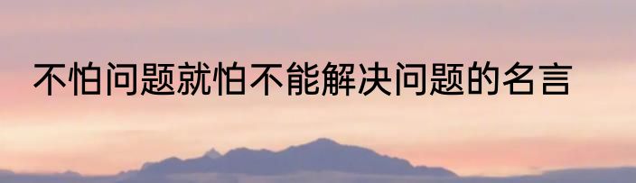 不怕问题就怕不能解决问题的名言