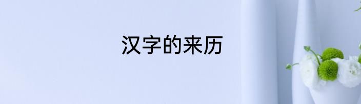 汉字的来历