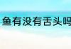 鱼有没有舌头吗（鱼为什么会长舌头）