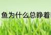 鱼为什么总睁着眼睛（鱼睡觉闭眼吗）
