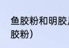 鱼胶粉和明胶片的区别（如何使用鱼胶粉）