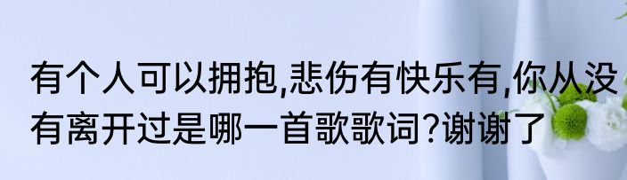 有个人可以拥抱,悲伤有快乐有,你从没有离开过是哪一首歌歌词?谢谢了