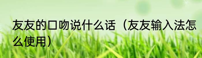 友友的口吻说什么话（友友输入法怎么使用）