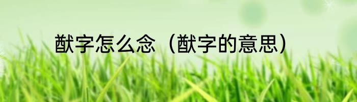 猷字怎么念（猷字的意思）