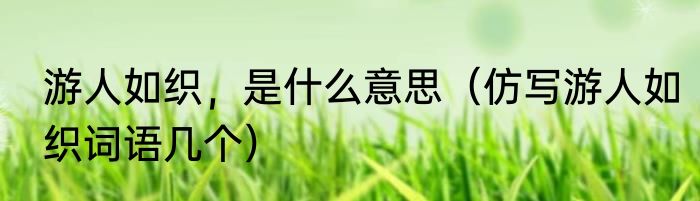 游人如织，是什么意思（仿写游人如织词语几个）