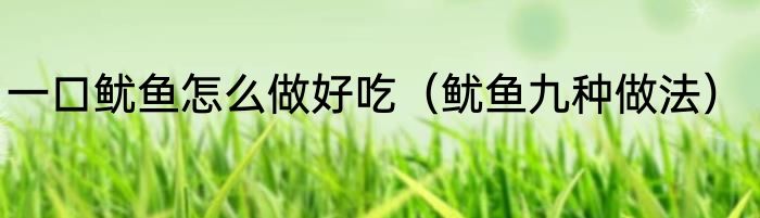 一口鱿鱼怎么做好吃（鱿鱼九种做法）