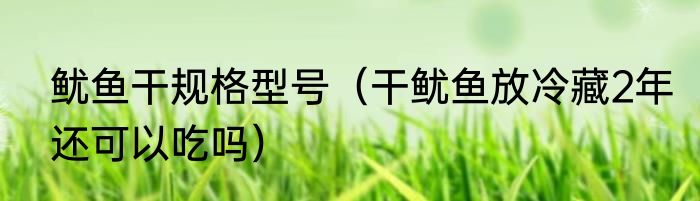 鱿鱼干规格型号（干鱿鱼放冷藏2年还可以吃吗）