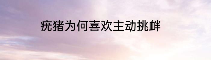 疣猪为何喜欢主动挑衅