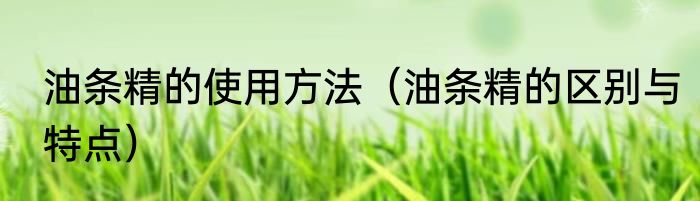 油条精的使用方法（油条精的区别与特点）