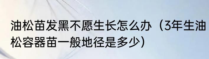油松苗发黑不愿生长怎么办（3年生油松容器苗一般地径是多少）