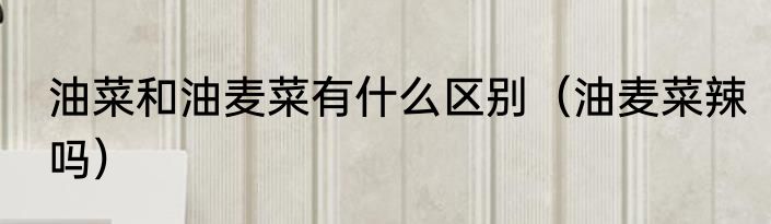 油菜和油麦菜有什么区别（油麦菜辣吗）
