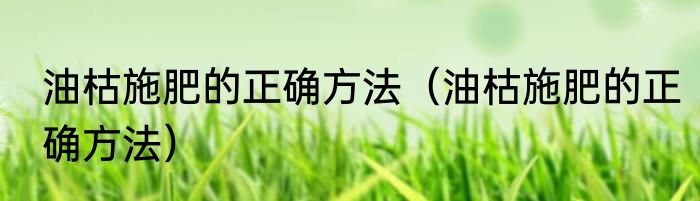 油枯施肥的正确方法（油枯施肥的正确方法）