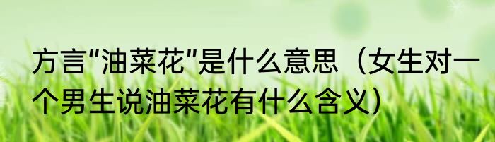 方言“油菜花”是什么意思（女生对一个男生说油菜花有什么含义）