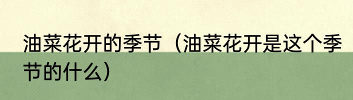 油菜花开的季节（油菜花开是这个季节的什么）