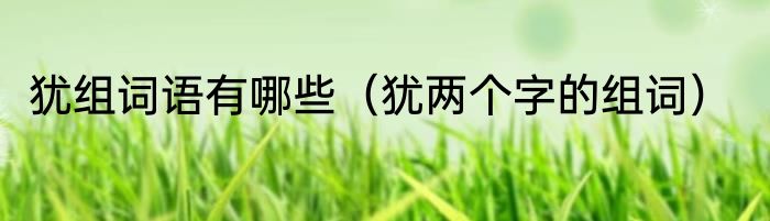 犹组词语有哪些（犹两个字的组词）