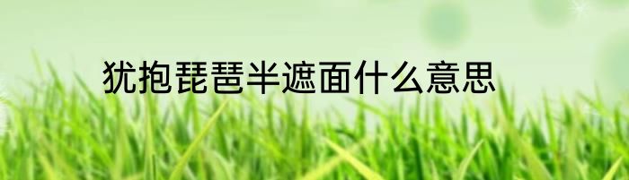 犹抱琵琶半遮面什么意思