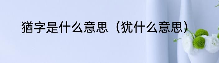 猶字是什么意思（犹什么意思）