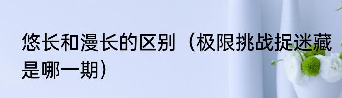 悠长和漫长的区别（极限挑战捉迷藏是哪一期）