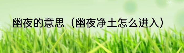 幽夜的意思（幽夜净土怎么进入）