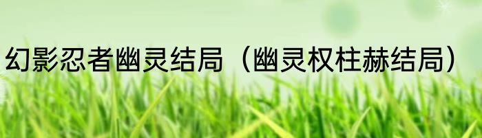 幻影忍者幽灵结局（幽灵权柱赫结局）