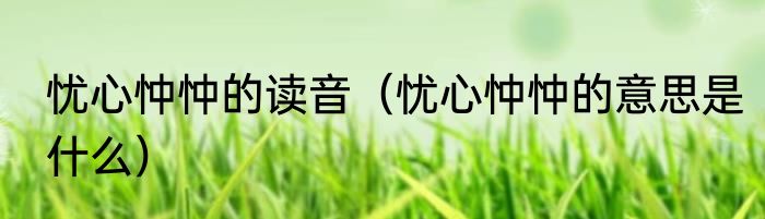 忧心忡忡的读音（忧心忡忡的意思是什么）