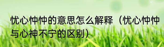 忧心忡忡的意思怎么解释（忧心忡忡与心神不宁的区别）