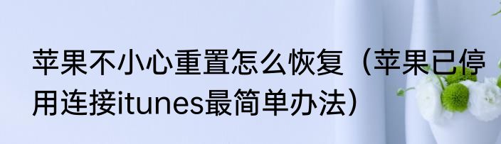 苹果不小心重置怎么恢复（苹果已停用连接itunes最简单办法）