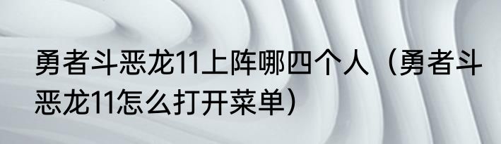 勇者斗恶龙11上阵哪四个人（勇者斗恶龙11怎么打开菜单）