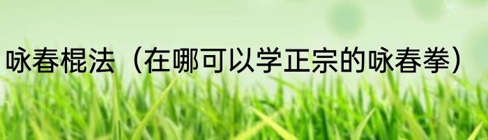 咏春棍法（在哪可以学正宗的咏春拳）