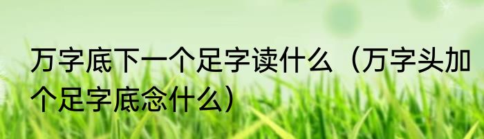 万字底下一个足字读什么（万字头加个足字底念什么）