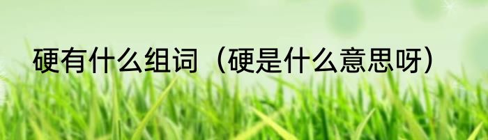 硬有什么组词（硬是什么意思呀）