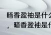 暗香盈袖是什么意思?谢谢（落花满怀，暗香盈袖是什么意思）