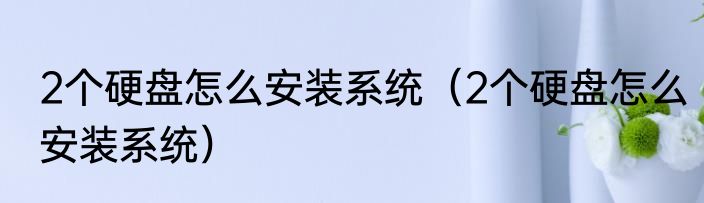 2个硬盘怎么安装系统（2个硬盘怎么安装系统）