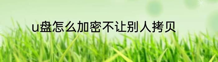 u盘怎么加密不让别人拷贝