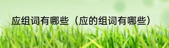 应组词有哪些（应的组词有哪些）