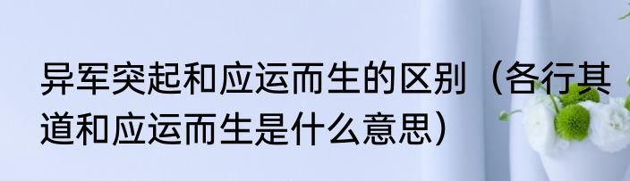 异军突起和应运而生的区别（各行其道和应运而生是什么意思）