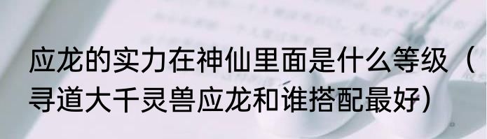 应龙的实力在神仙里面是什么等级（寻道大千灵兽应龙和谁搭配最好）