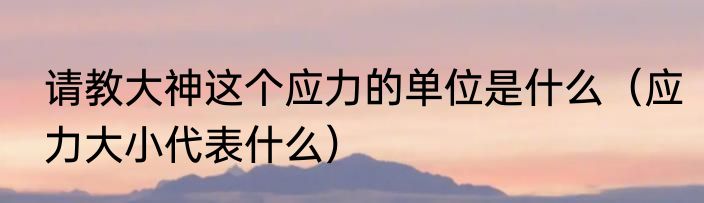 请教大神这个应力的单位是什么（应力大小代表什么）